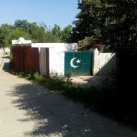 Govt Girls Primary School Bagh Jamhiri ico