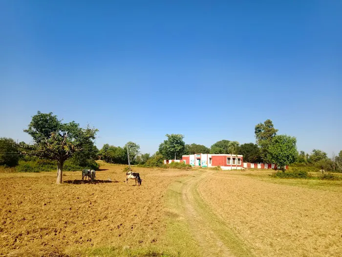 Govt Girls Primary School Bagh Jamhiri Picture 3