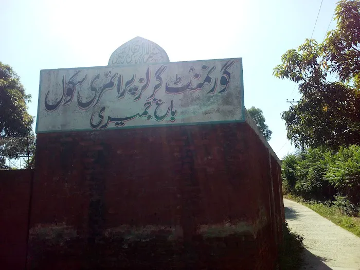 Govt Girls Primary School Bagh Jamhiri Picture 2