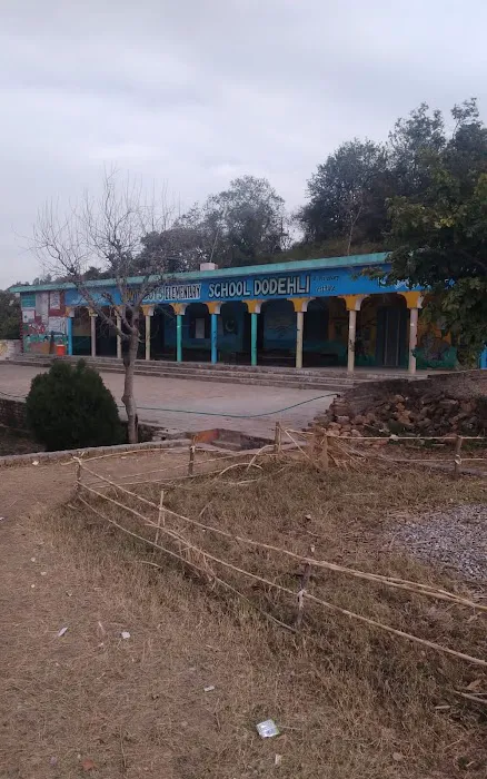 Govt. Boys Elementary School Dodehli Picture 1
