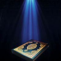 online quran teacher ico