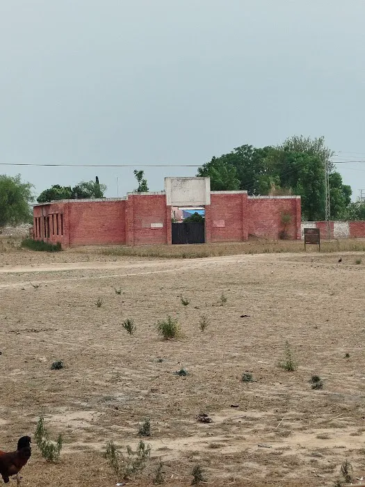 Girls school dhoke wasla Picture 1