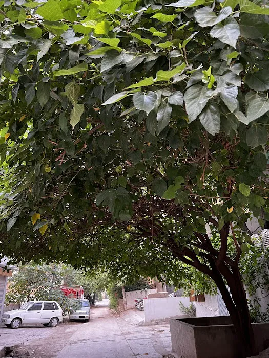 Rawalpindi College of Commerce(RCC) Picture 3