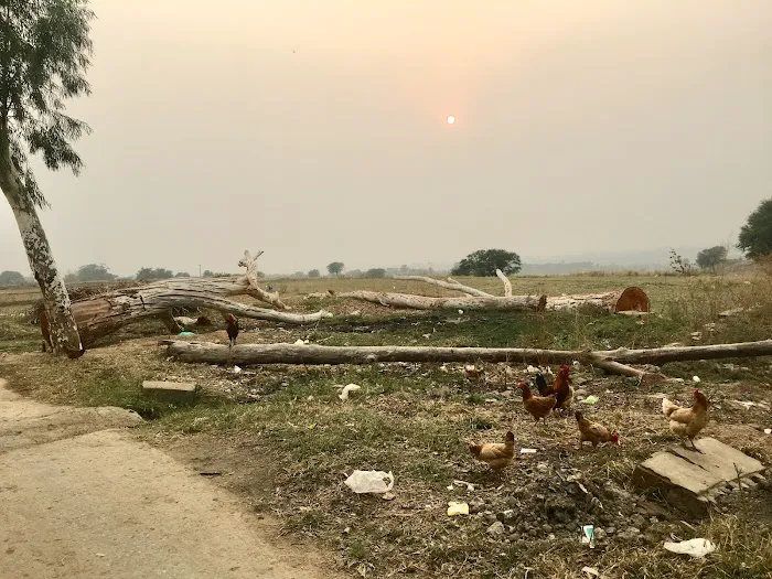 Govt. Primary School Picture 2