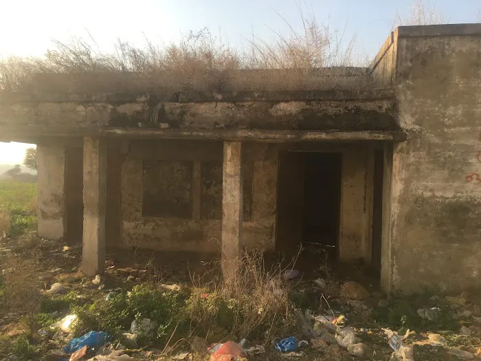 Govt. Primary School Picture 6