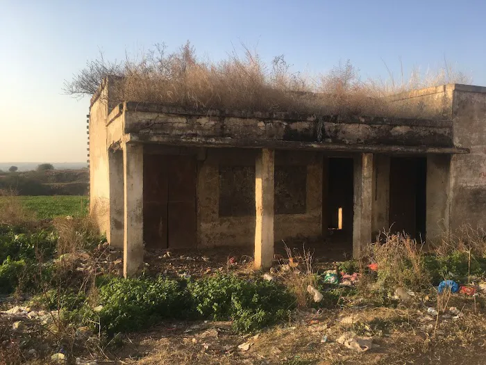 Govt. Primary School Picture 4