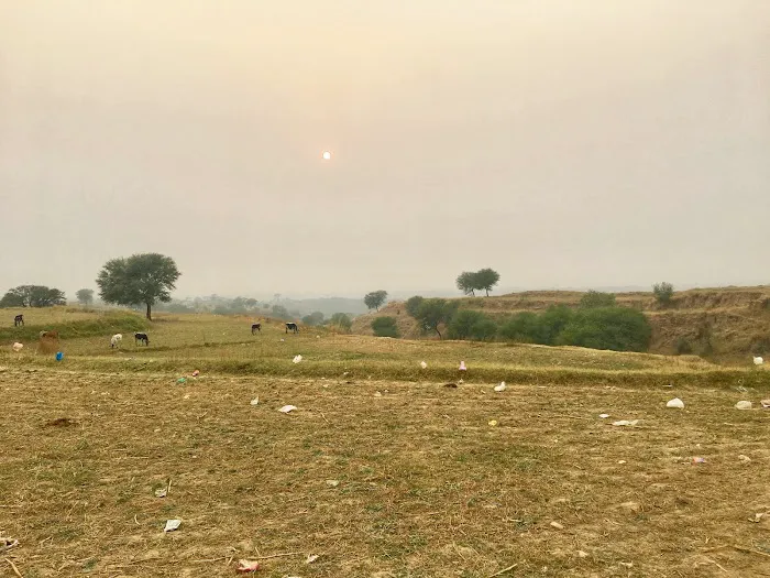 Govt. Primary School Picture 3