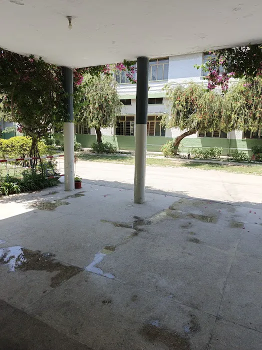 Fazaia Intermediate College Picture 6