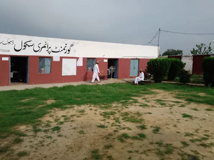 Government Boys Primary School Picture 1