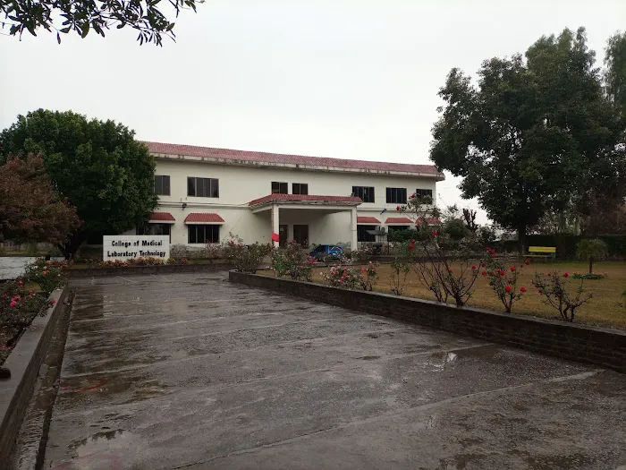Institute of Health & Management Sciences (IHMS) Picture 4