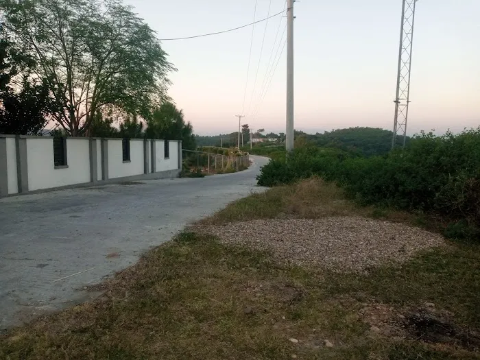 Government Boys Primary School Ghoi Picture 2