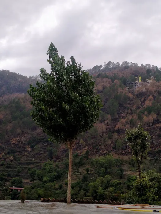 Mahulla Gullabad Picture 1