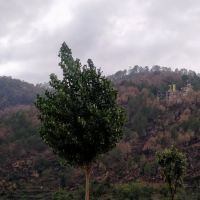 Mahulla Gullabad ico