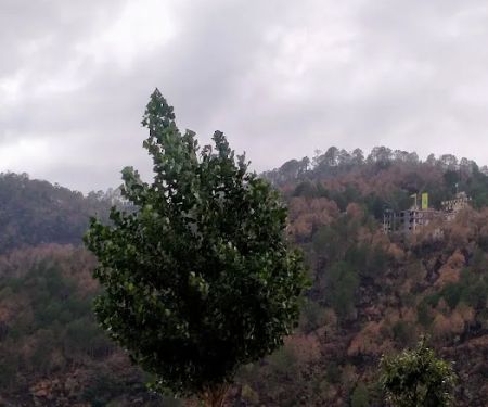Mahulla Gullabad