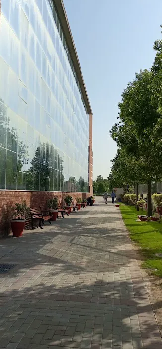 Capital University of Science & Technology (CUST) Picture 4