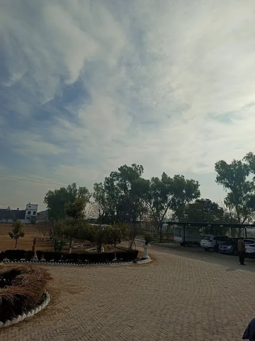 Mohi Ud Din Islamic University (MIU) Nerian Sharif Picture 8