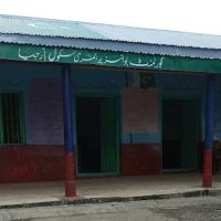 G B P school Rajia ico