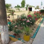 East Pail Mirza Girls High School
