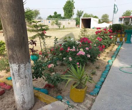East Pail Mirza Girls High School