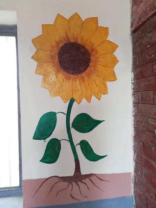 Government girls primary school, Padhana Khurd Taxila Picture 8