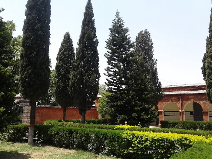 Mensa College for Women Kahuta Picture 3