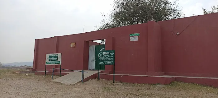 F G Model school Johad Picture 4