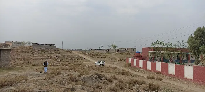 F G Model school Johad Picture 5