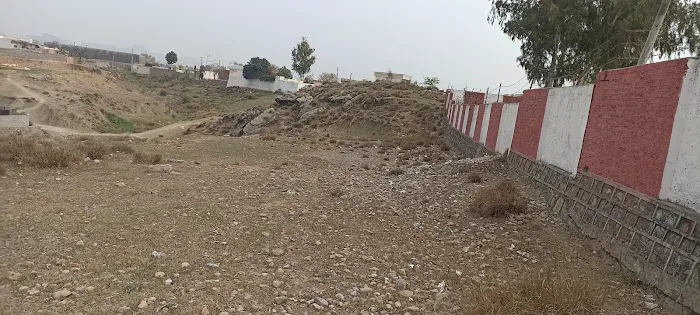 F G Model school Johad Picture 7