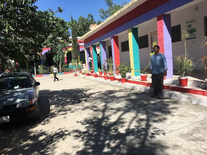 Goverment Girls Primary School Thatti Gujran Picture 8