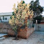 Hassan Public School Fateh Jang