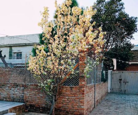 Hassan Public School Fateh Jang