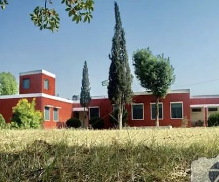 Hayat Sar High School
