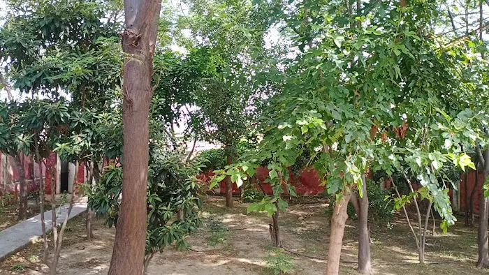 Government boys Primary School, Gangoo jumma Picture 1