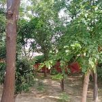 Government boys Primary School, Gangoo jumma