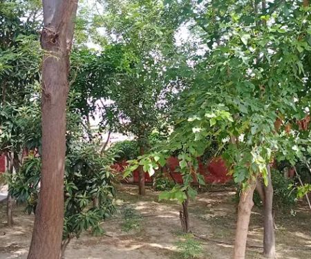 Government boys Primary School, Gangoo jumma