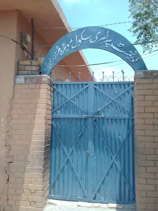 GBPS MOHRA MURADU Picture 1