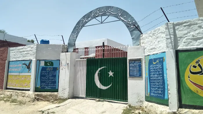 Government Boys High School , chhokar Picture 1