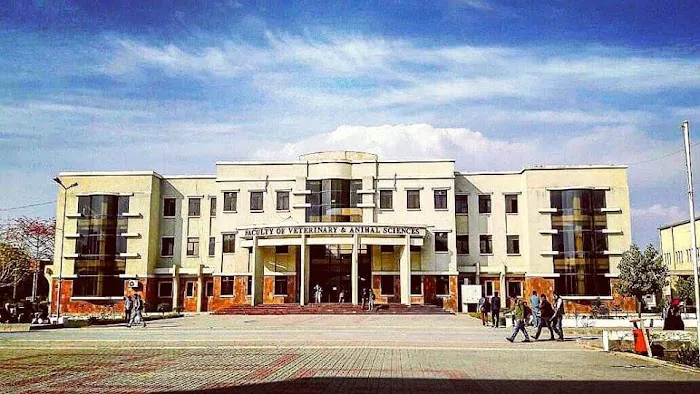 Department of Veterinary and Animal Sciences Picture 2