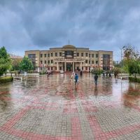 Department of Veterinary and Animal Sciences ico