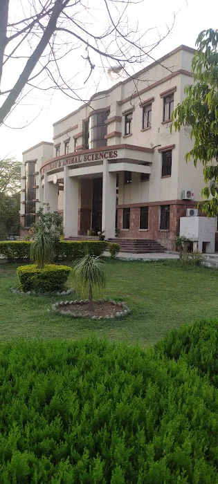 Department of Veterinary and Animal Sciences Picture 7