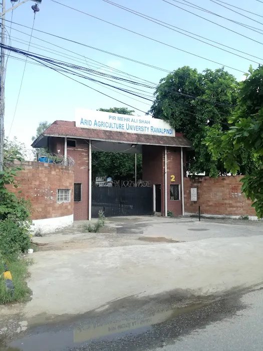 Arid Agriculture University girls hostel Picture 6