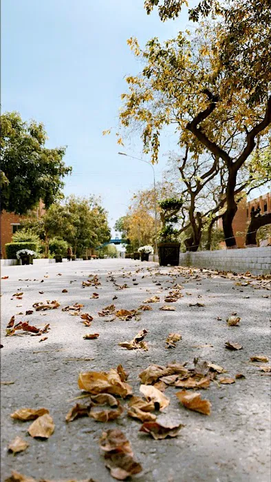 Arid Agriculture University girls hostel Picture 2
