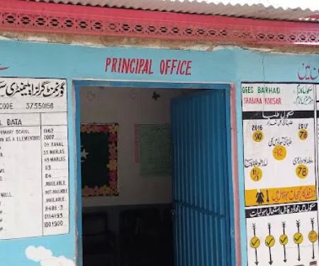 Government Girls Elementary School Barhad
