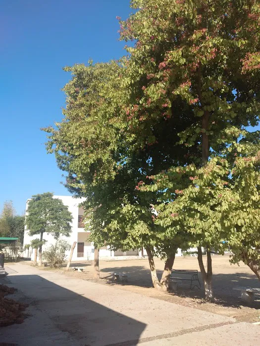 Govt. Associate college for women Gujar Khan Picture 5