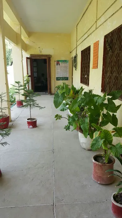 Govt. Associate College of Commerce, Gujar Khan Picture 4