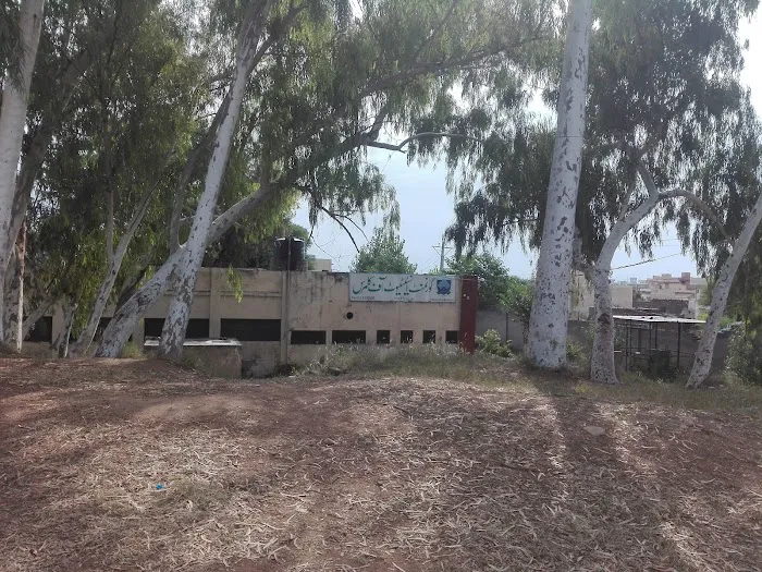 Govt. Associate College of Commerce, Gujar Khan Picture 1
