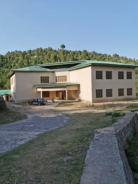 Govt Degree College For Girls Picture 1