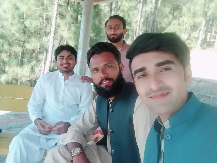 Govt. Associate College For Boys, Kotli Sattian Picture 1
