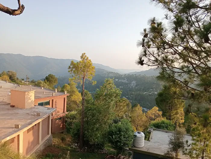 Dukhtaran-e-Islam Higher Secondary School Kotli Sattian Picture 3
