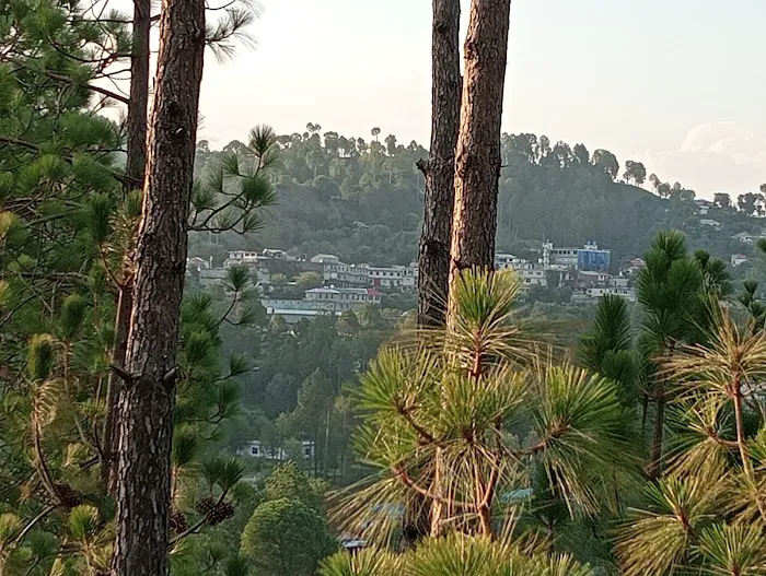 Dukhtaran-e-Islam Higher Secondary School Kotli Sattian Picture 8